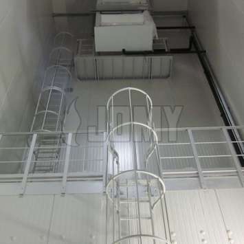 Double cage ladder with guard rails
