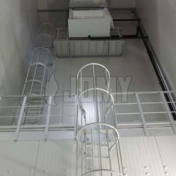 Double cage ladder with guard rails Double cage ladder with guard rails