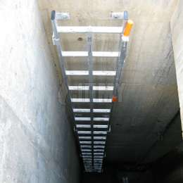 Well ladder with vertical lifeline and telescopic handle.